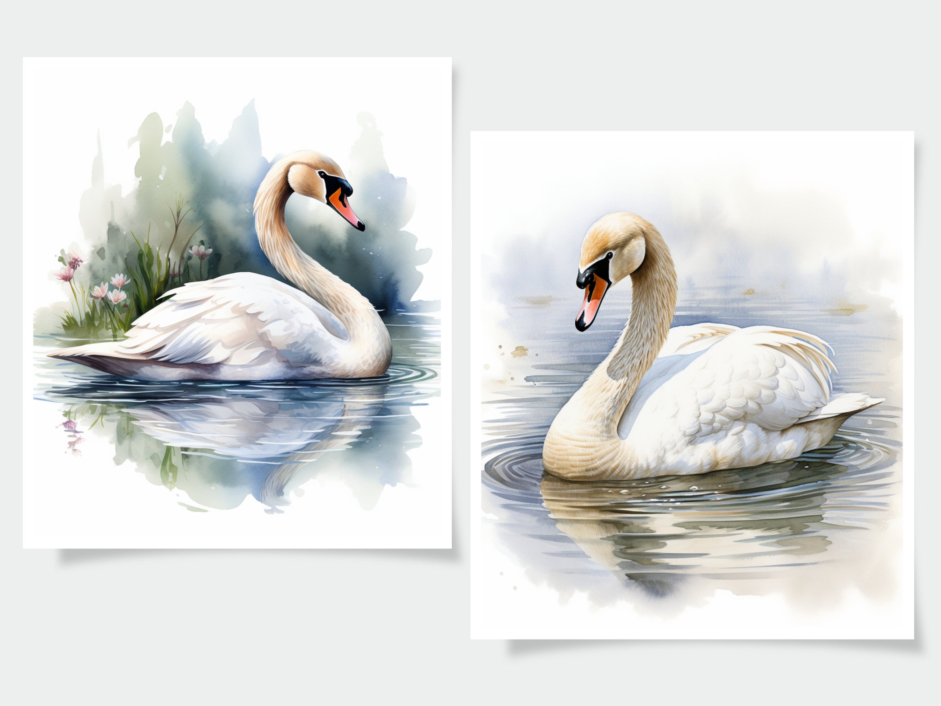 Watercolor Swan Clipart - 18 High Quality Jpgs - Journal Book ...