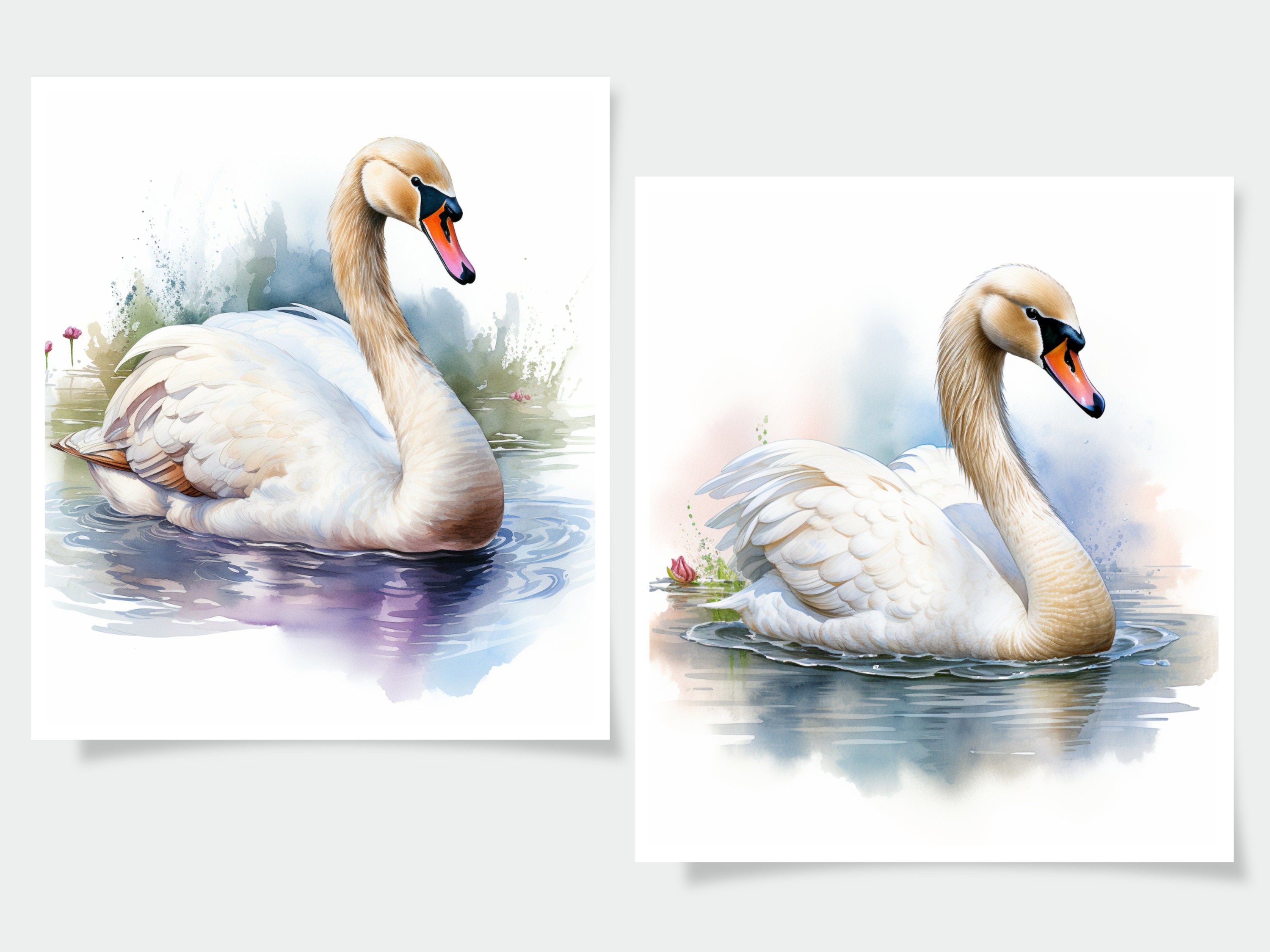 Watercolor Swan Clipart - 18 High Quality Jpgs - Journal Book ...