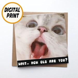 Stampa a casa carta di buon compleanno, carta digitale divertente gatto meme carta di compleanno