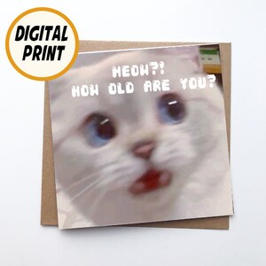 Carte di buon compleanno stampabili, cartoline digitali, divertente gatto meme simpatico gatto bianco carta di buon compleanno