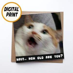 Cartoline di buon compleanno stampabili, cartoline digitali, divertente gatto meme simpatico gatto bianco carta di buon compleanno, aspetta quanti anni hai?