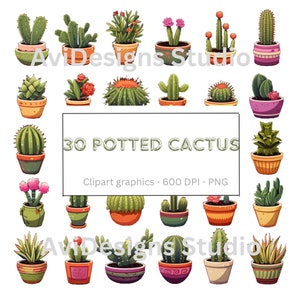 30 Cactus Clipart| Kamerplant PNG| Ingemaakte cactussen illustraties| Vetplanten illustraties|600 DPI|PNG-formaat|Instant Download|Persoonlijk gebruik|Commercieel gebruik