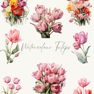 Watercolour Tulips Clipart|Pink Tulips PNG|Spring Clipart PNG|Floral Clipart PNG|Wedding Invite Card Clipart|Commercial Use|Digital Download