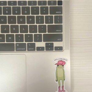 May include: A sticker of a green frog wearing a pink cowboy hat and boots. The sticker has the text "you're a cowboy like me" and the artist's Instagram handle "@artbyanneliseeden".