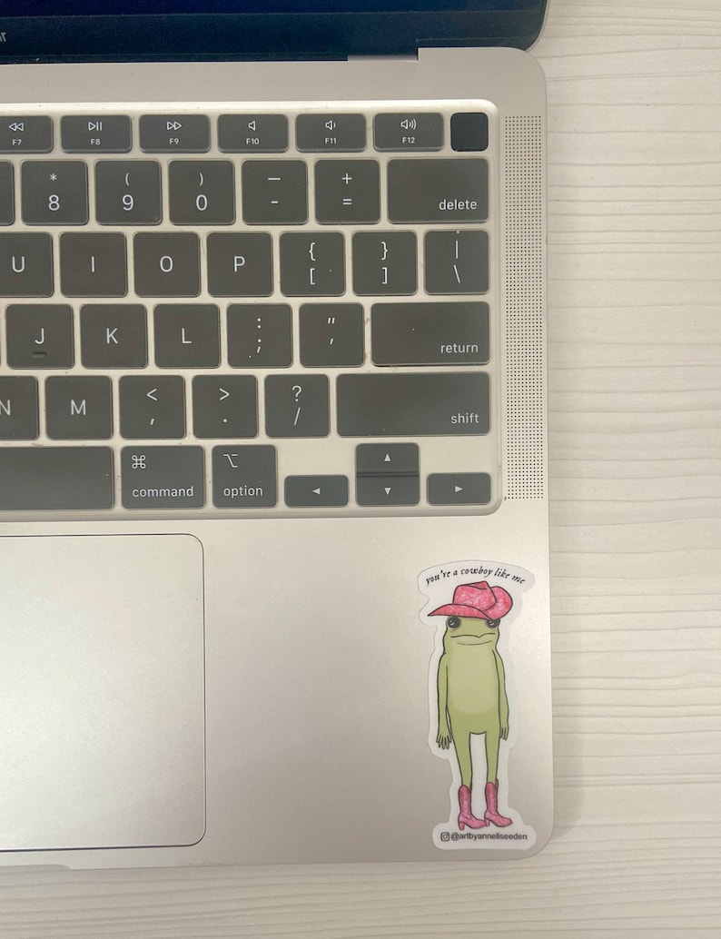 May include: A sticker of a green frog wearing a pink cowboy hat and boots. The sticker has the text "you're a cowboy like me" and the artist's Instagram handle "@artbyanneliseeden".
