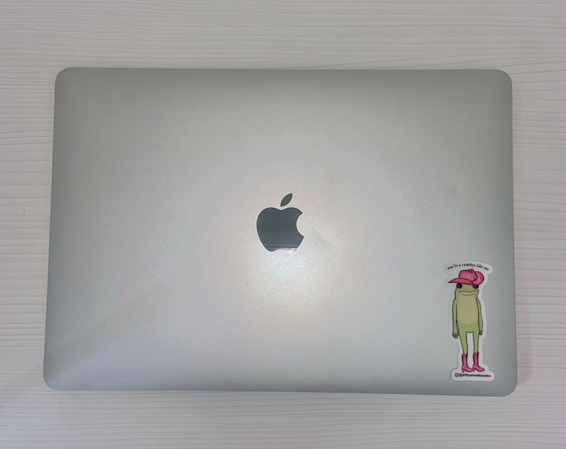 May include: A silver laptop computer with a sticker of a green frog wearing a pink cowboy hat and boots. The sticker says "You're a cowboy like me".