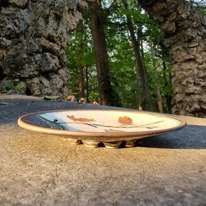 low angle ceramic bird plate on stone surface artistic perspective