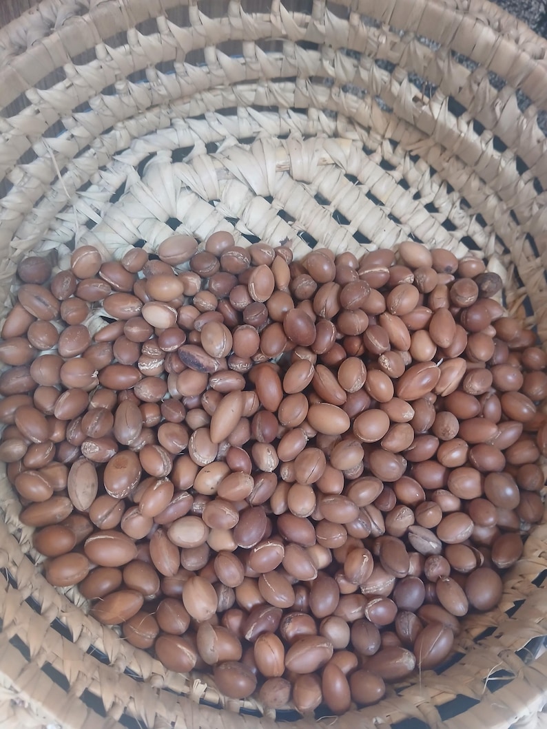 Argan kernels close up Moroccan edible argan nuts organic