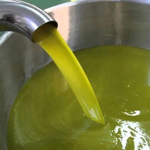 Marokkaanse extra vierge olijfolie koudgeperst, hoge polyfenolen, nieuwe oogst