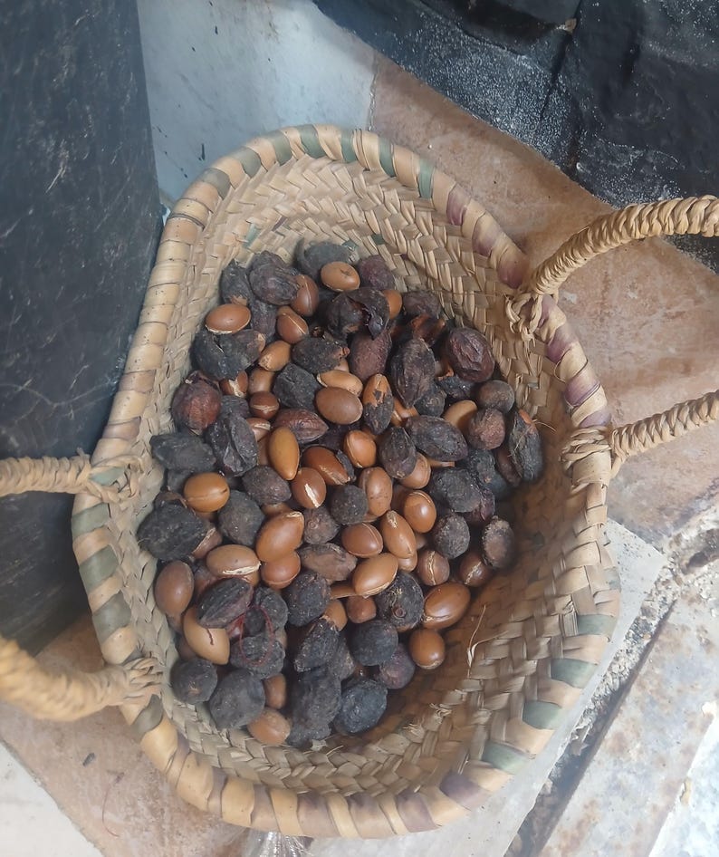 Raw argan nuts in basket Moroccan organic edible argan seeds