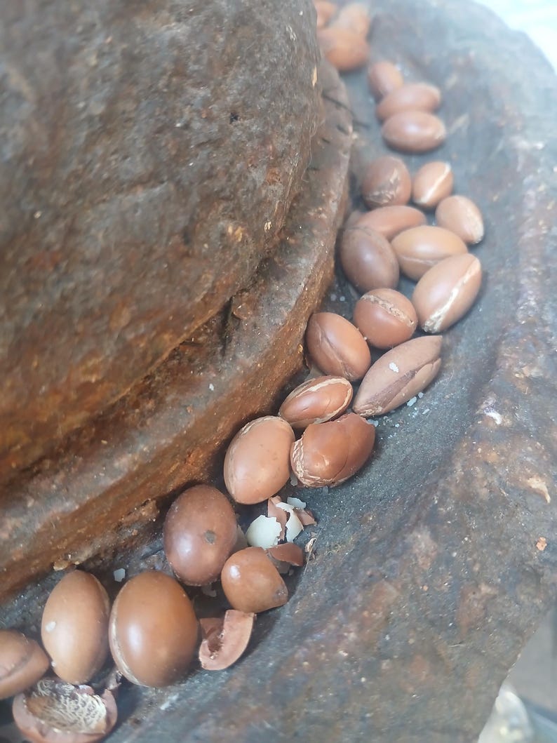 Argan seeds in stone grinder traditional oil making process