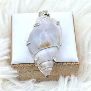 May include: A pendant featuring a large, pearlescent seashell with a silver-tone metal setting. The shell has a natural, spiral shape with shades of white, cream, and lavender. The pendant is displayed on a white square and a wooden base.