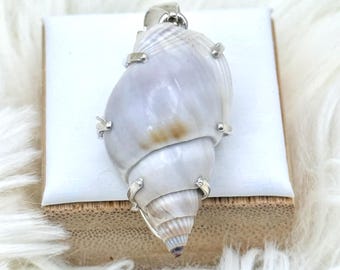 Fossil Shank Shell 925 Sterling Silver Hängsmycken E604