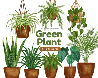 Clipart de planta verde en acuarela: Ilustraciones PNG dibujadas a mano (Descarga digital)