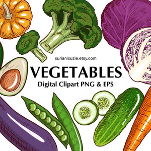 Clipart de légumes végétaliens et végétariens – haute teneur en fibres, PNG et EPS pour usage commercial