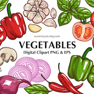 Vegan and Vegetarian Vegetable Clipart – High Fiber, PNG & EPS for Commercial Use