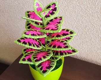 Crochet Coleus Plant, Handmade Crochet Plant, Home Office Decoration, Crocheted Coleus Flower, Gift Idea for Her, Home Decor, Desk Decor