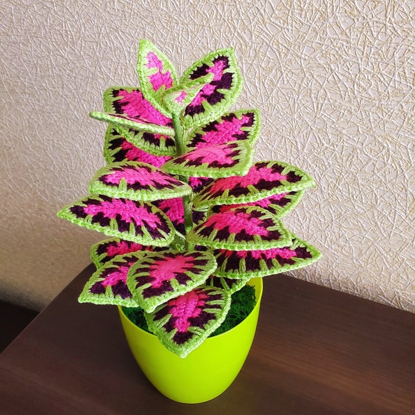 Crochet Coleus Plant, Handmade Crochet Plant, Home Office Decoration, Crocheted Coleus Flower, Gift Idea for Her, Home Decor, Desk Decor