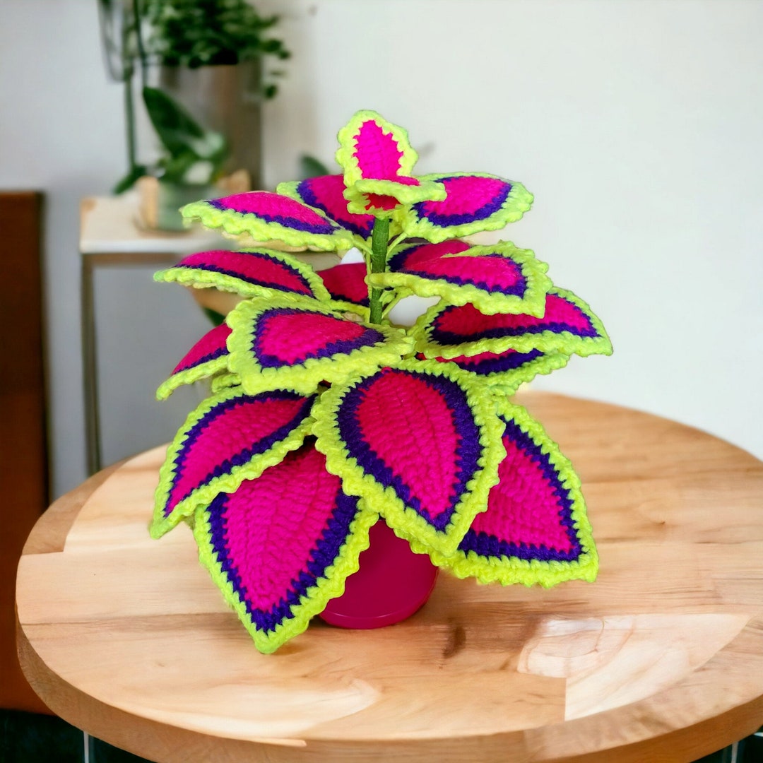 Crochet Coleus Plant Handmade Crochet Plant Home Office Etsy