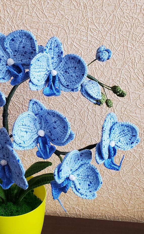 Handmade Crochet Blue Orchid Plant: Home Desk Decor - Etsy