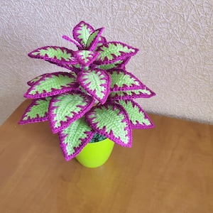 Crochet Handmade Coleus Plant Home Office Decoration Crocheted Coleus Flower Birthday Gift Idea for Her Handmade Home Room Desk Decor