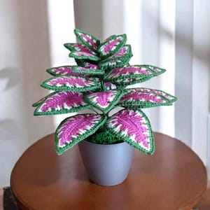 Crochet Coleus Plant, Handmade Crochet Plant, Home Office Decoration, Crocheted Coleus Flower, Gift Idea for Her, Home Decor, Desk Decor