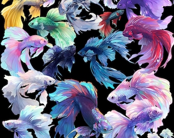 Betta Fish 50 Illustrations (Transparent PNG)