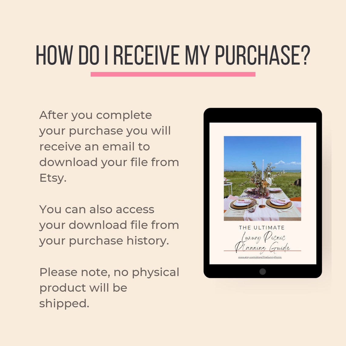 DIY Picnic Planning Guide How to Plan Luxury Picnic Business Planner Boho Picnic Party Planning