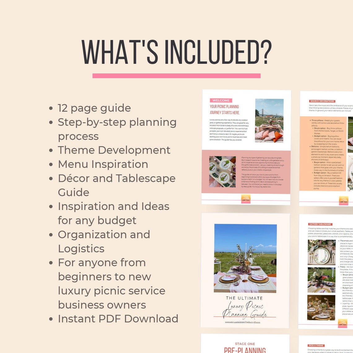 DIY Picnic Planning Guide How to Plan Luxury Picnic Business Planner Boho Picnic Party Planning