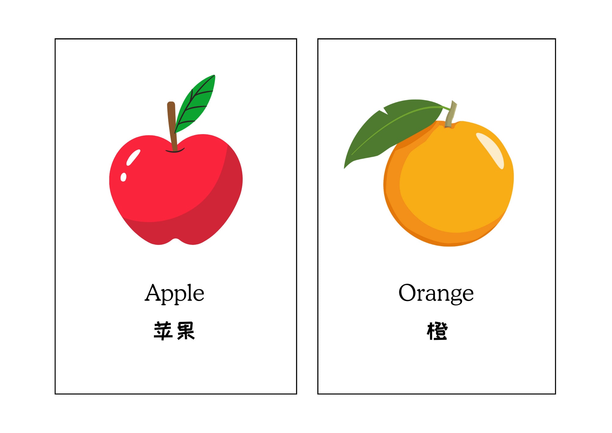 Chinese and English Bilingual Fruits Educational Flash Cards, 20 ...
