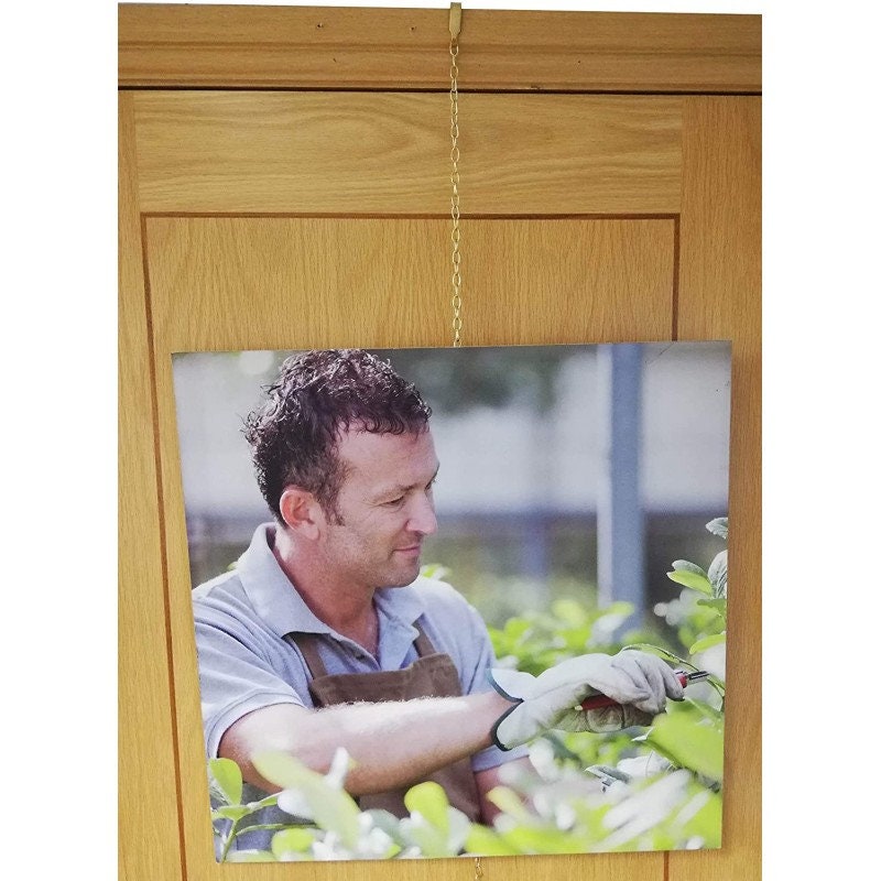 Brass Finish Golden Chain Picture Hanging Kit Picture Rail Hooks and