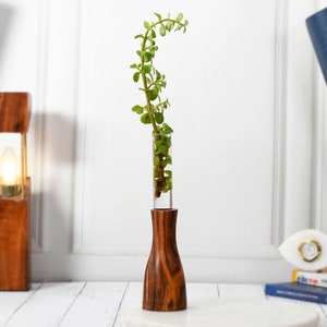 1 Glass Test Tube With Wooden Stand Without Money Plant Table Decor