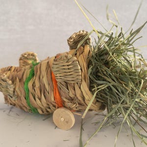 Small Pet, Rabbit and Guinea Pig Toy, Hayliner Express