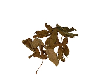 Dried Aquarium Passion Fruit Leaves - Organic