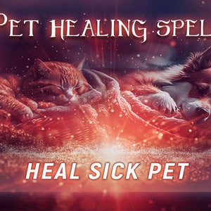 Può includere: Un gatto rosso e un cane marrone e bianco stanno dormendo su un letto. L'immagine è circondata da un bagliore rosso e bianco con il testo "PET HEALING SPELL" in alto e "HEAL SICK PET" in basso.