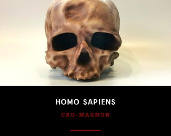 ホモ・ハイデルベルゲンシスの頭蓋骨レプリカ - Etsy 日本