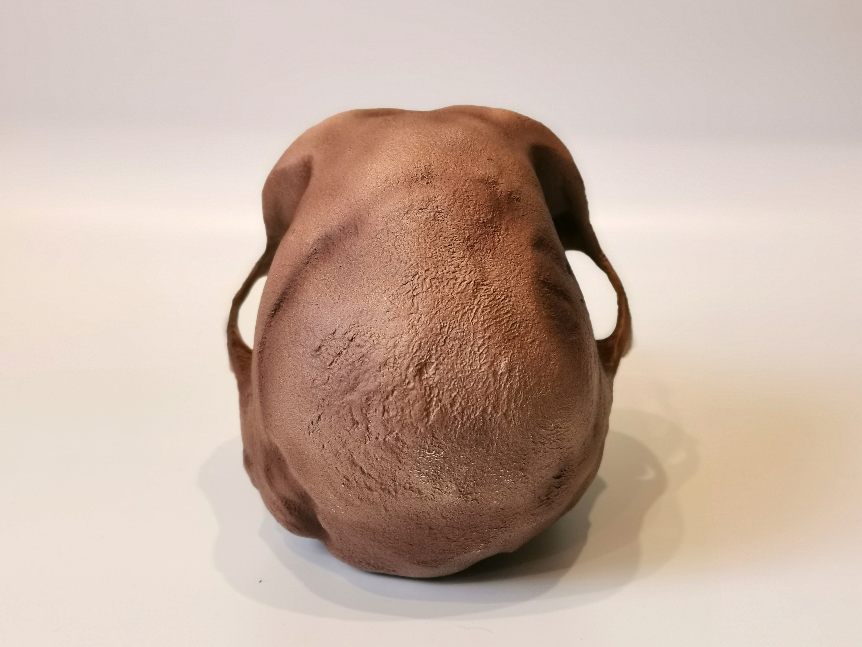 ホモハビリス頭骨模型 ホモ・ハビリスの頭蓋骨レプリカ、先史時代の化石コレクション、リアル