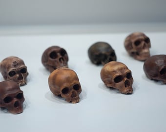 Small-Sized Neanderthal Skulls, 3D Printed Set for Collection and Home Decor Museum Quality Anthropology Models