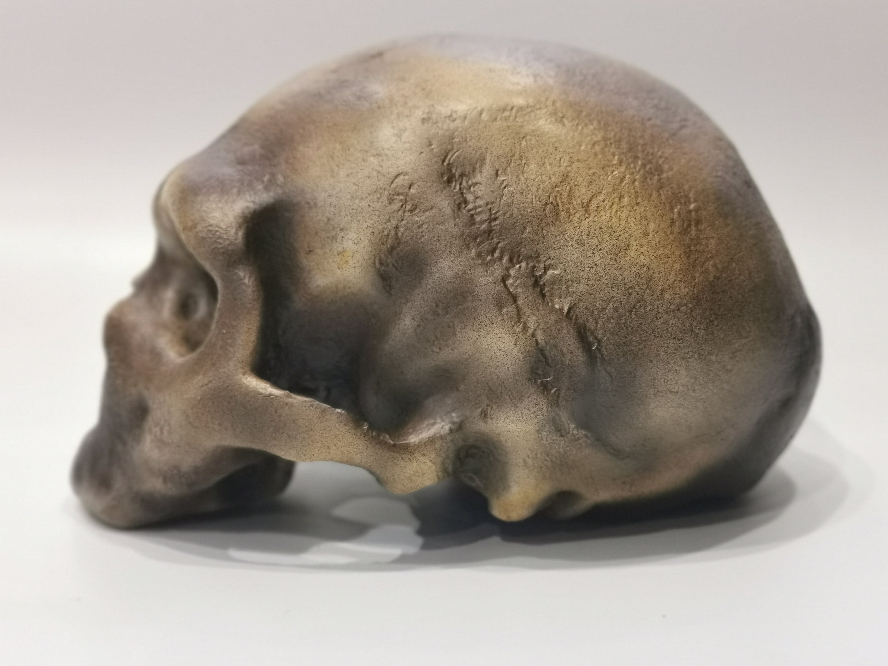モンテ・チルチェオ1号発掘のホモ・ネアンデルタール人の頭蓋骨