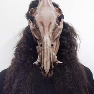 Boar Skull Mask | animal skull mask | Viking skull Mask | resin skull mask | cosplay face mask | halloween scary mask | creepy mask