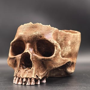 Puede incluir: Un recipiente hueco con forma de cráneo y acabado marrón texturizado y desgastado. El objeto presenta detalles anatómicos realistas, incluyendo cuencas oculares profundas, cavidad nasal y una hilera de dientes, con la parte superior abierta.