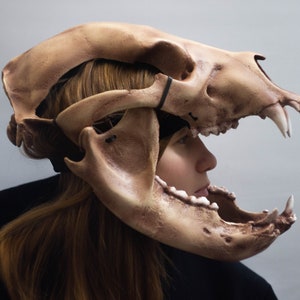 Può includere: Una persona indossa una maschera di cranio di animale marrone e bianco. La maschera è aperta alla bocca e ha denti affilati.