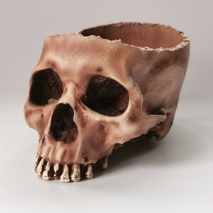 Skull Planter, Human Skull Bowl, Skeleton Bowl, Skull Decoration, Skull Pot, Halloween Bowl, Realistic Human Size Skull Replica Bowl