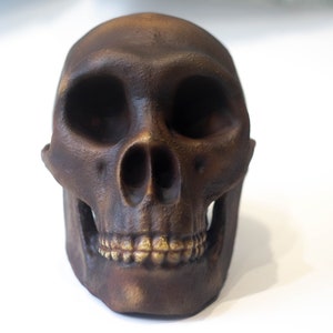 Homo Neanderthal from Spi Cave Skull Replica, Prehistoric Fossil Collection, Realistic Hominid Skull