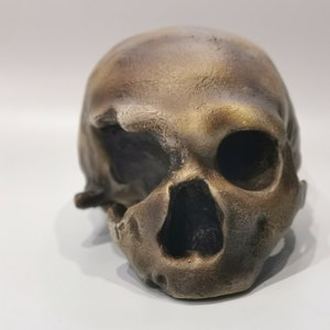 Homo Neanderthal from Monte Circeo 1 Skull Replica, Prehistoric Fossil Collection, Realistic Hominid Skull, Museum Quality