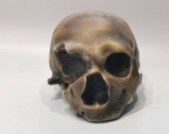 Homo Neanderthal from Monte Circeo 1 Skull Replica, Prehistoric Fossil Collection, Realistic Hominid Skull, Museum Quality