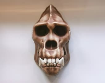 Gorilla-Schädel, Affenschädel, Tierschädel-Replik, Anthropologie-Primatenmodell