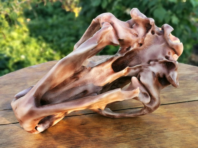 Cave Bear Anatomical Skull Replica Full-size 3d Printed Skull - Etsy