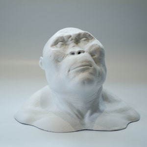 Paranthropus Boisei Bust, 120mm Hominid Reconstruction, Museum Quality Anthropology Model, Nutcracker Man Sculpture for Study & Display