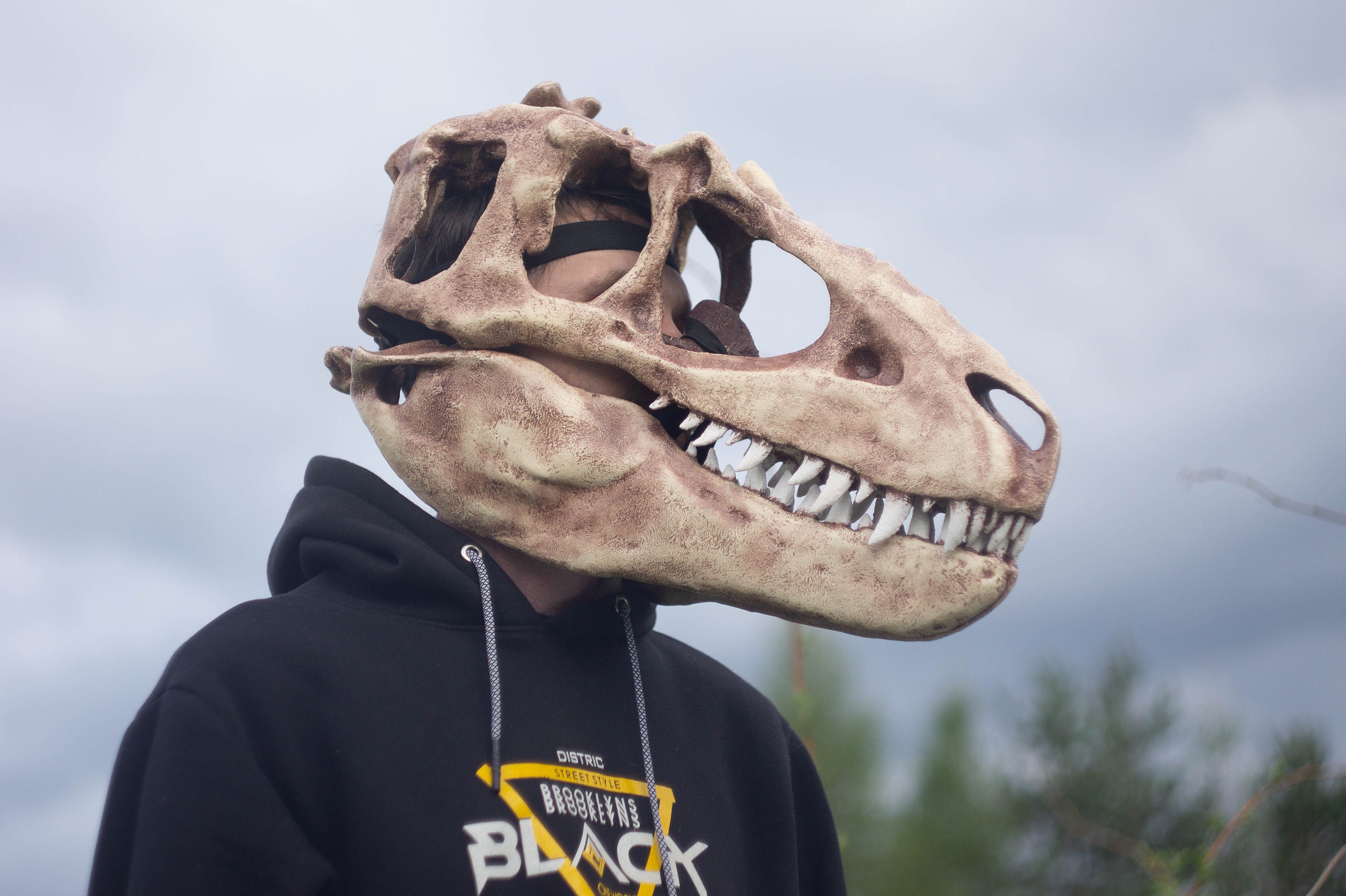 T-rex Skull Mask, Dinosaur Skull, Tyrannosaurus Fossil Skull